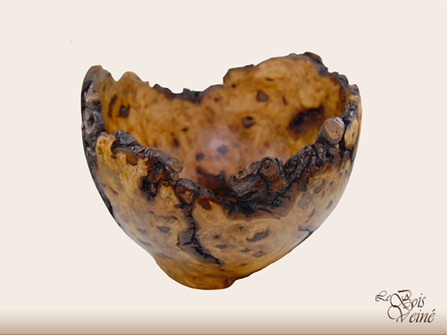 Vase en loupe de peuplier